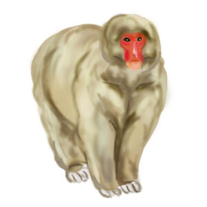 喪中はがきー紅葉 プリント年賀状素材