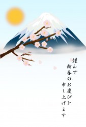 fujib1_2