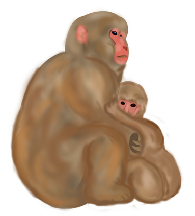 リアルな猿の親子のイラスト 手描き風 プリントできる年賀状テンプレート