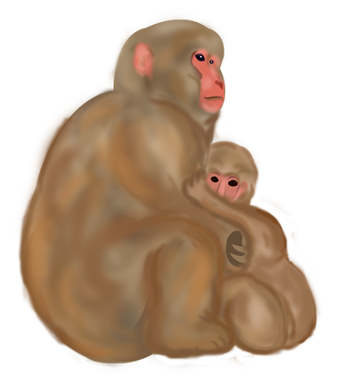 リアルな猿の親子のイラスト 手描き風 プリント年賀状素材