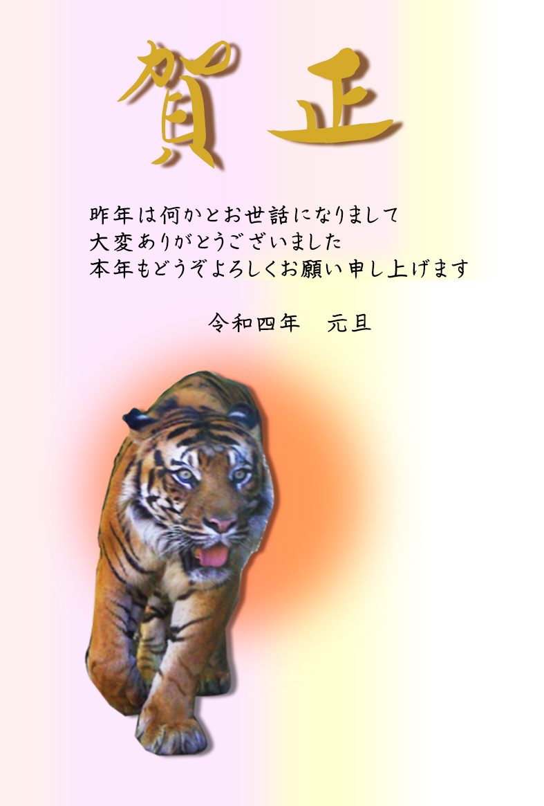 虎の写真入り シンプルなデザインの年賀状 プリント年賀状素材